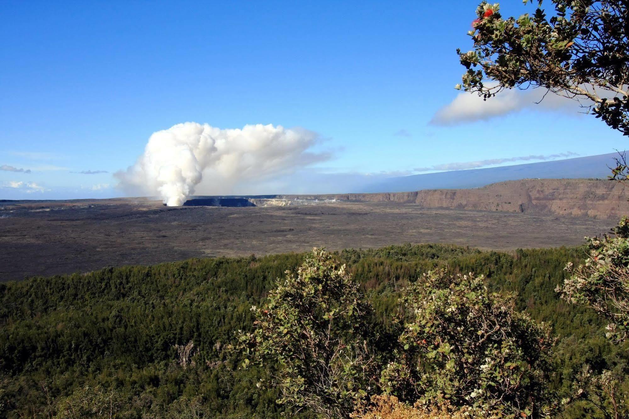 Halana Hale Vacation Rental Volcano Kültér fotó